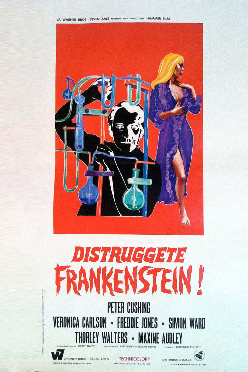 Locandina di Distruggete Frankenstein!
