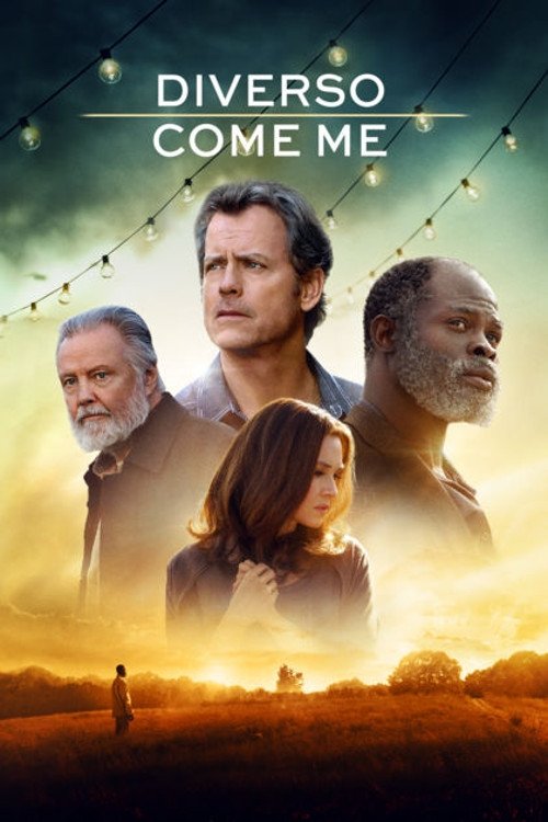 Locandina di Diverso come me