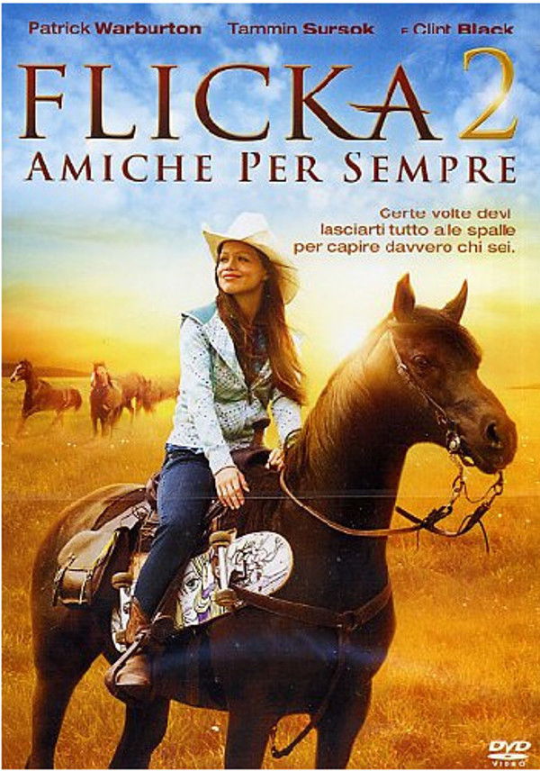 Locandina di Flicka 2 - Amiche per sempre