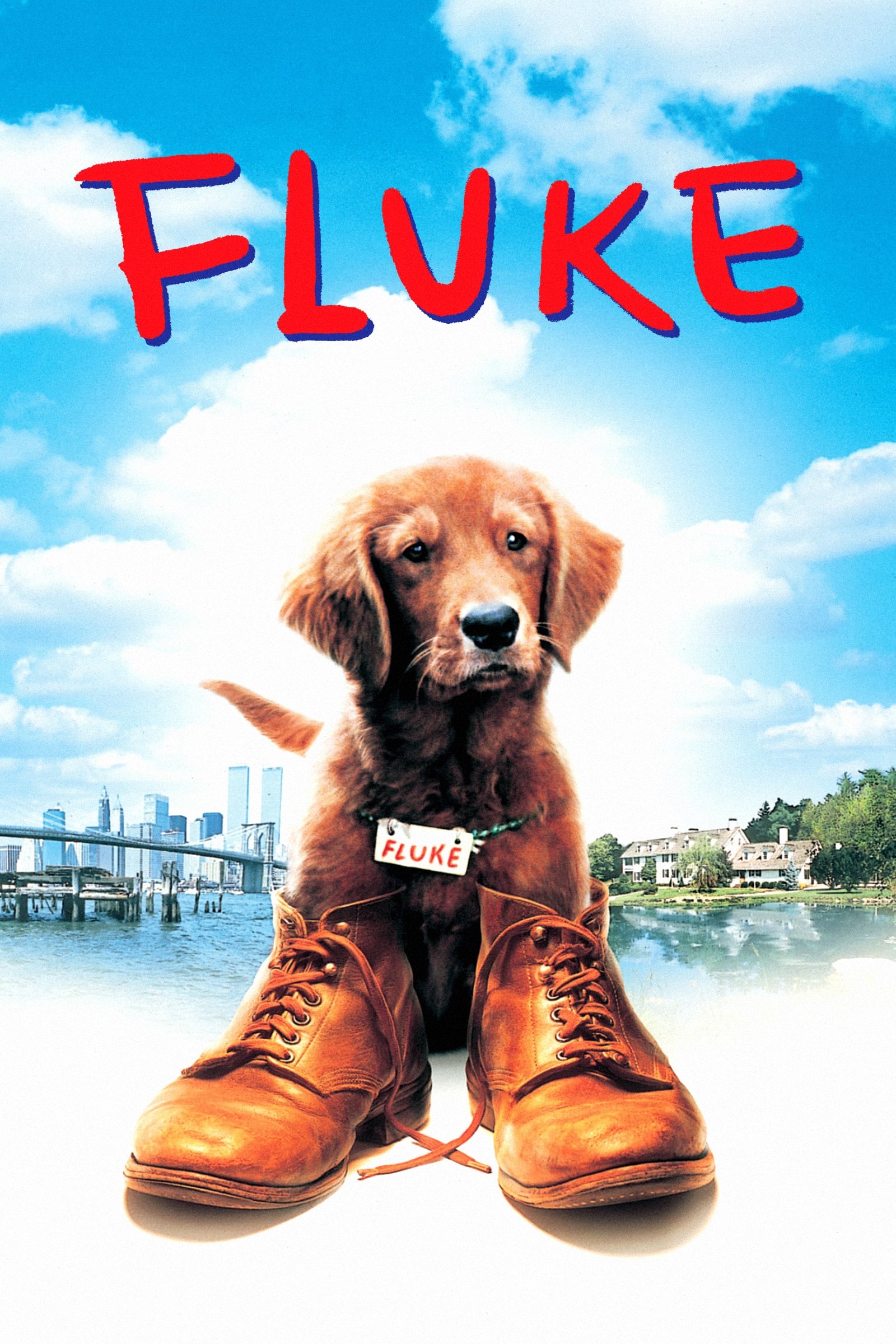 Locandina di Fluke
