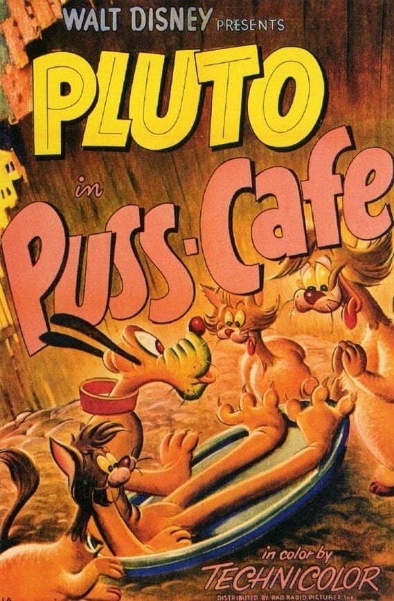 Locandina di Gatti in agguato