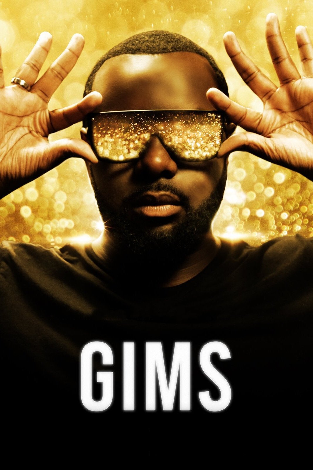 Locandina di GIMS: On the Record