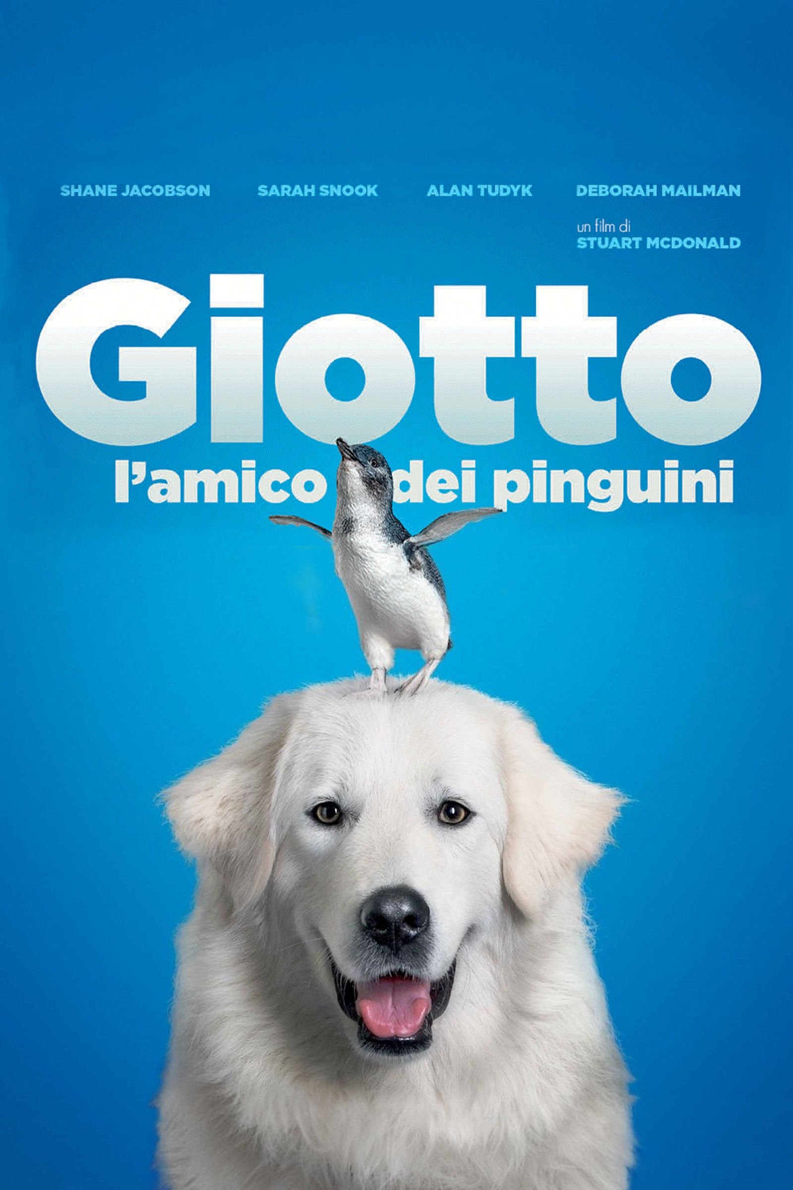 Locandina di Giotto, l'amico dei pinguini