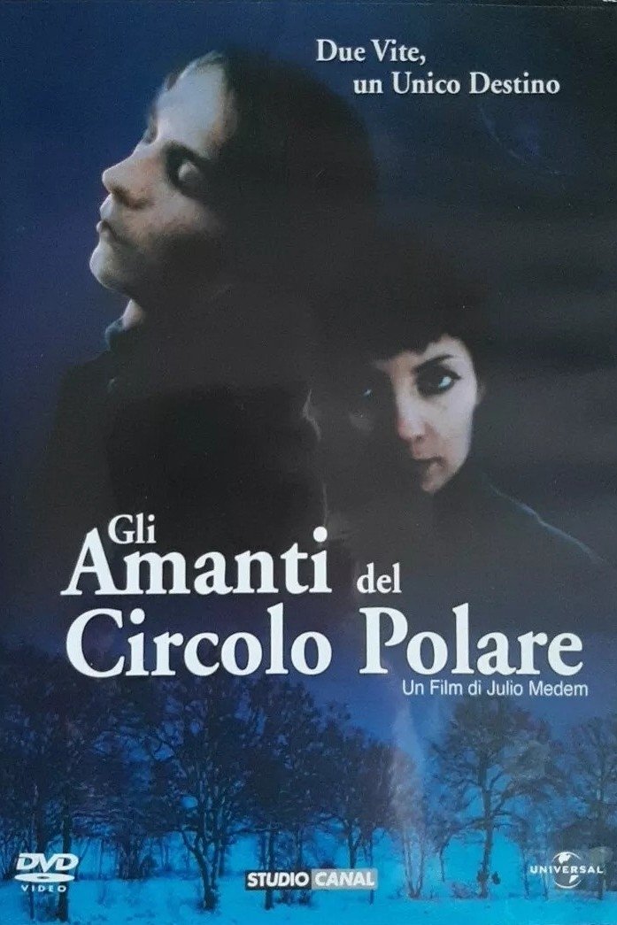 Locandina di Gli amanti del circolo polare