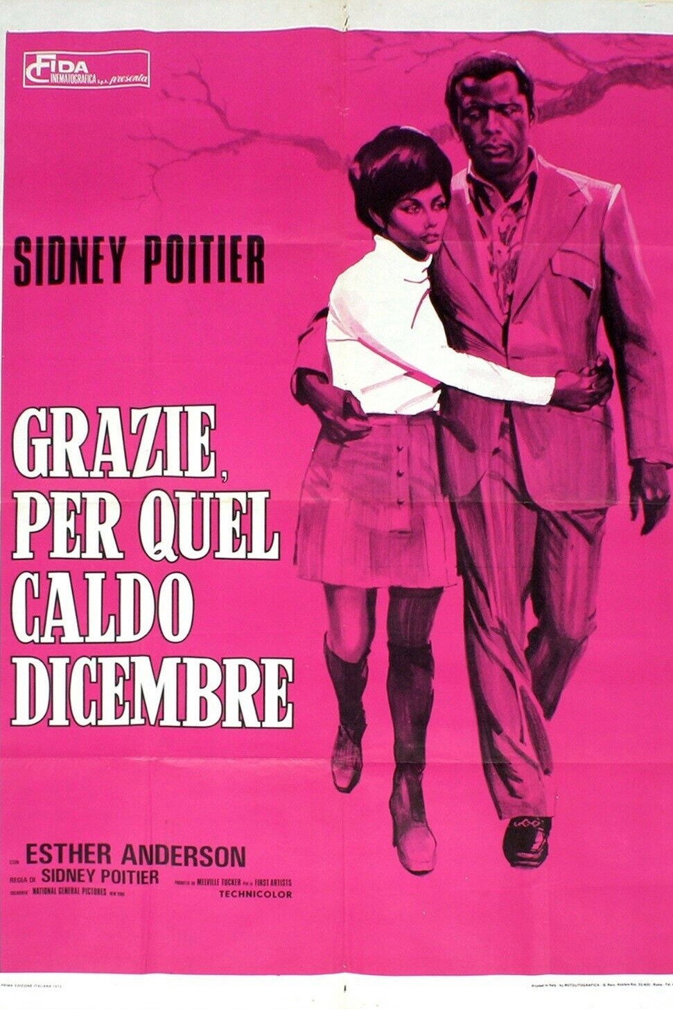 Locandina di Grazie per quel caldo dicembre