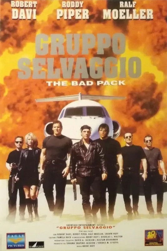 Locandina di Gruppo selvaggio
