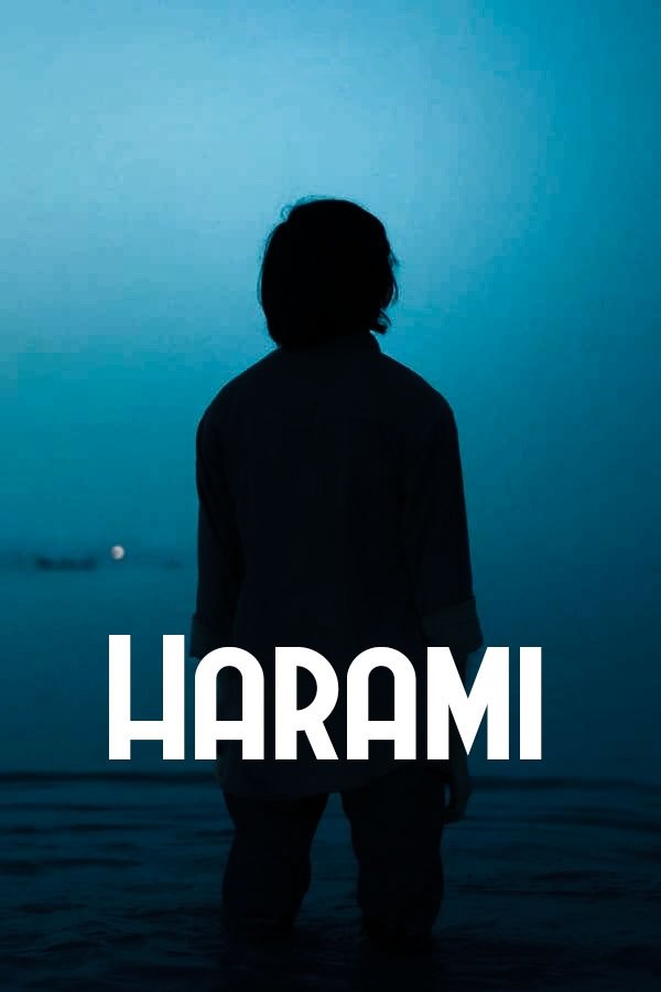 Locandina di Harami