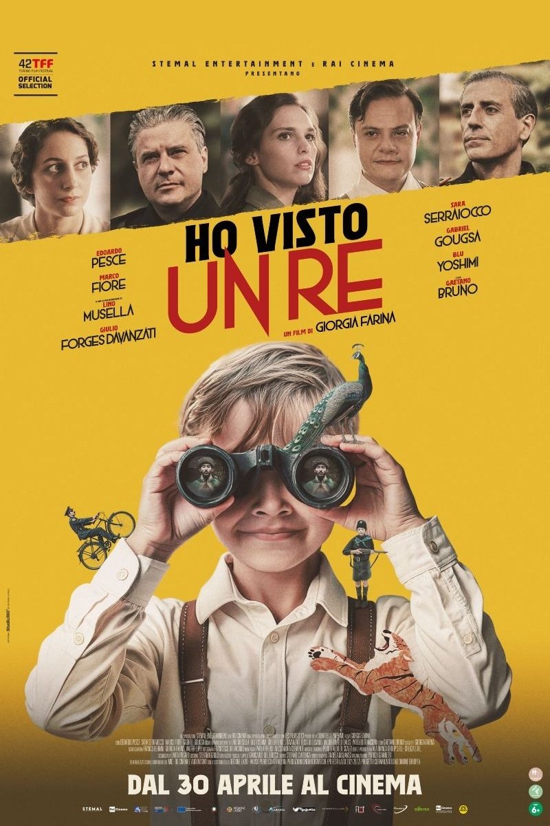 Locandina di Ho visto un re