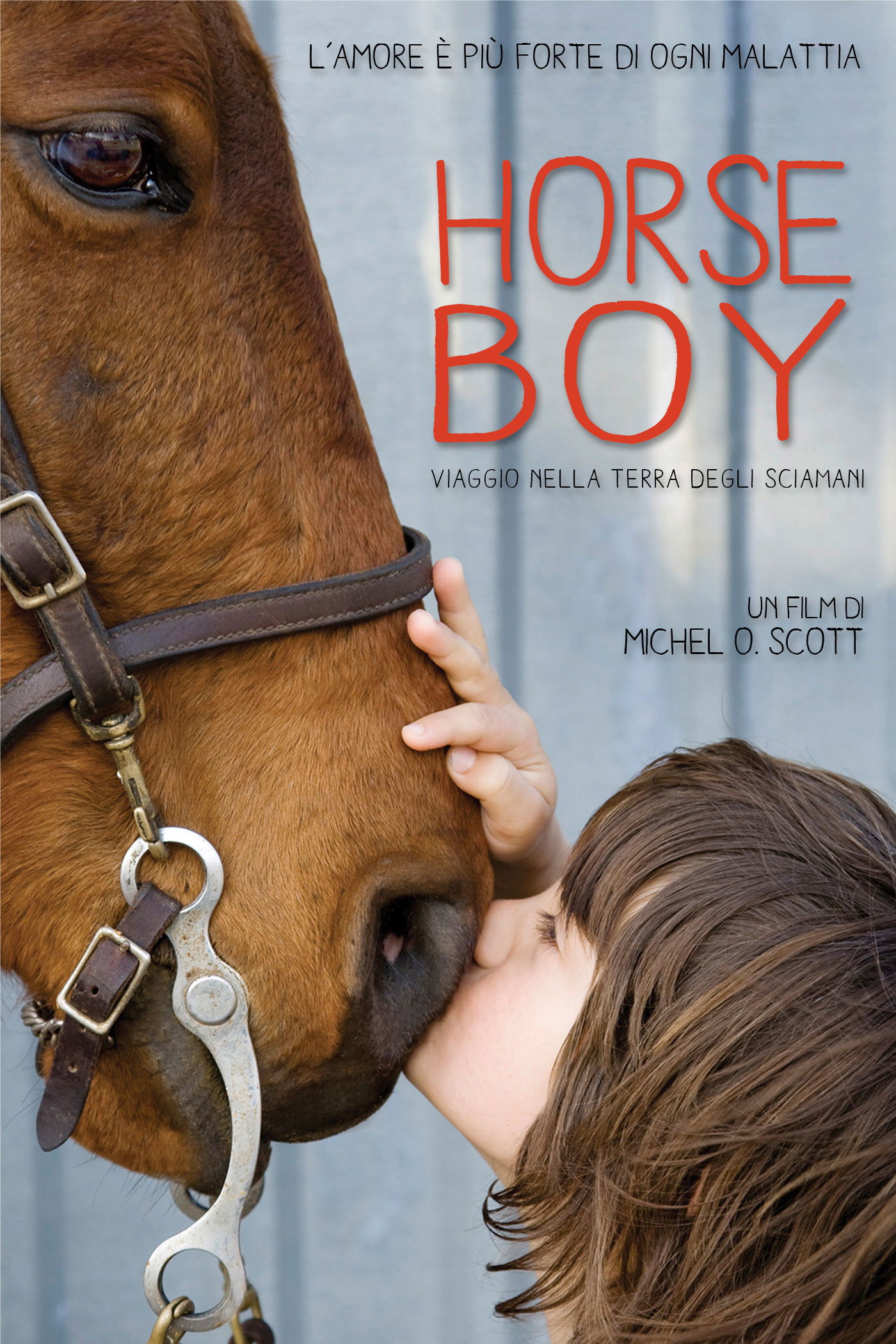 Locandina di Horse Boy: Viaggio nella terra degli sciamani