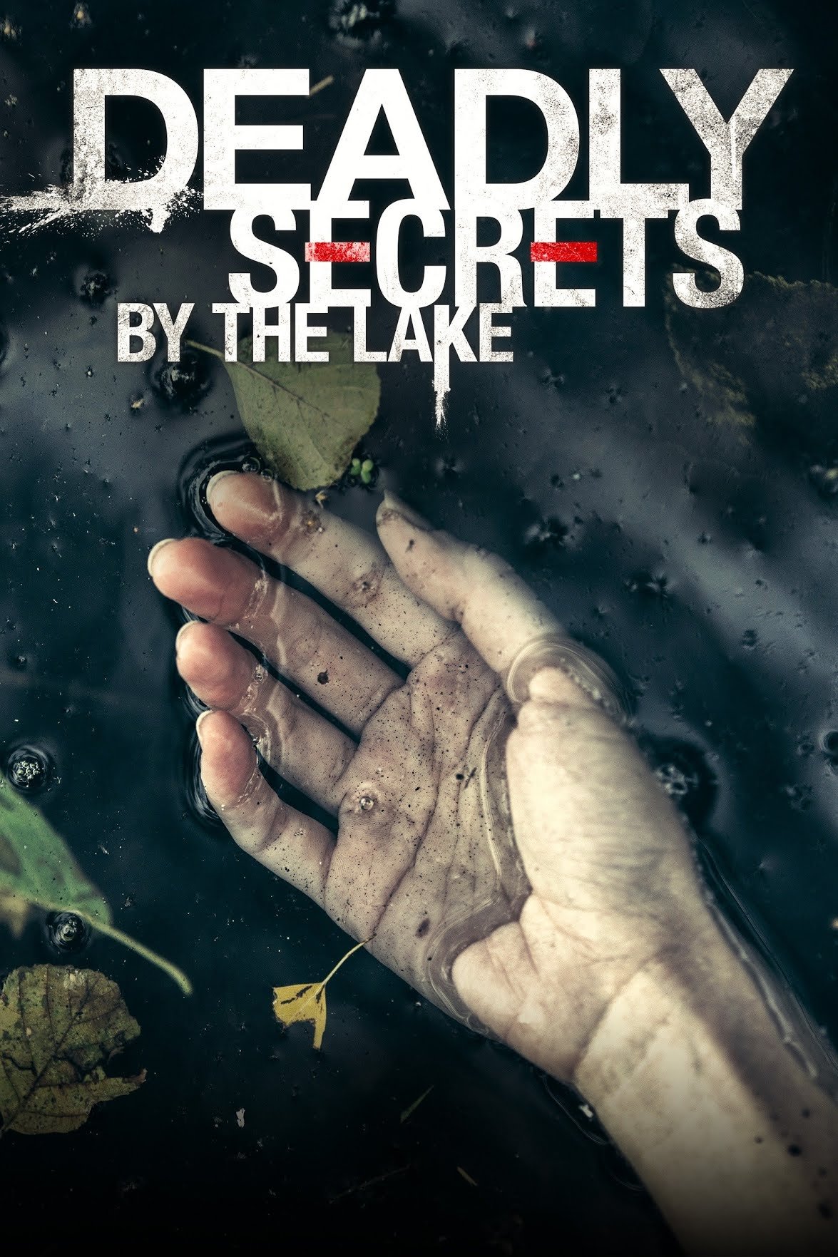 Locandina di I misteri di Thornwood Heights