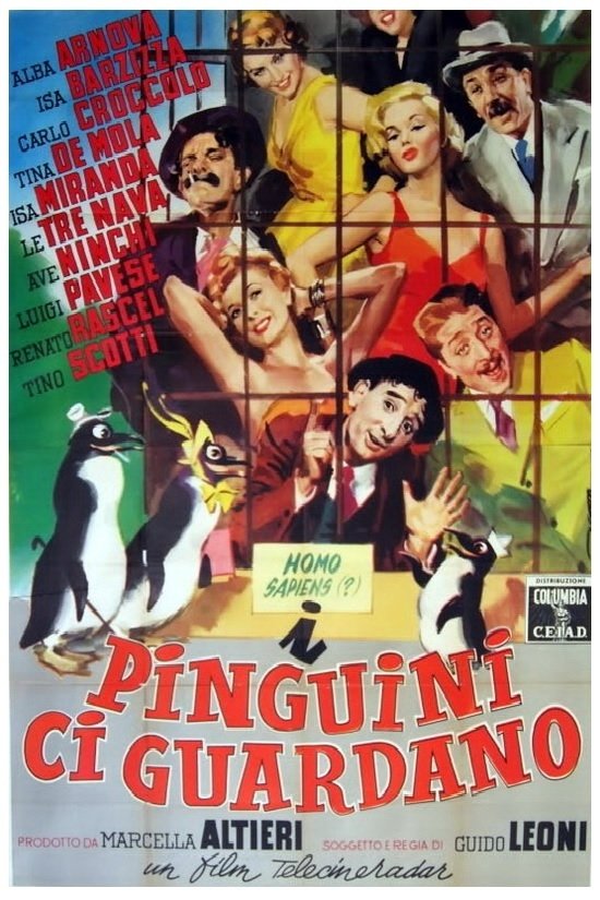 Locandina di I pinguini ci guardano