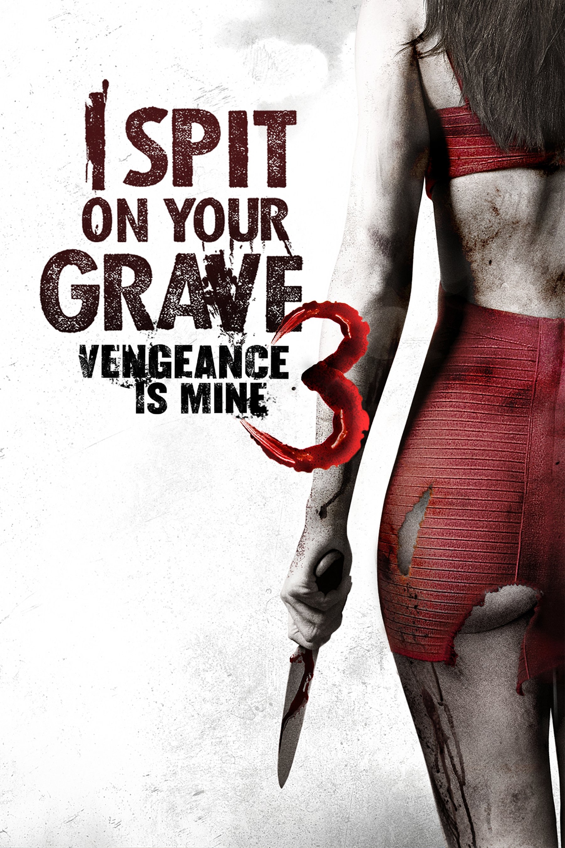 Locandina di I Spit on Your Grave III: Vengeance Is Mine