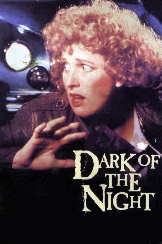 Locandina di Il buio della notte