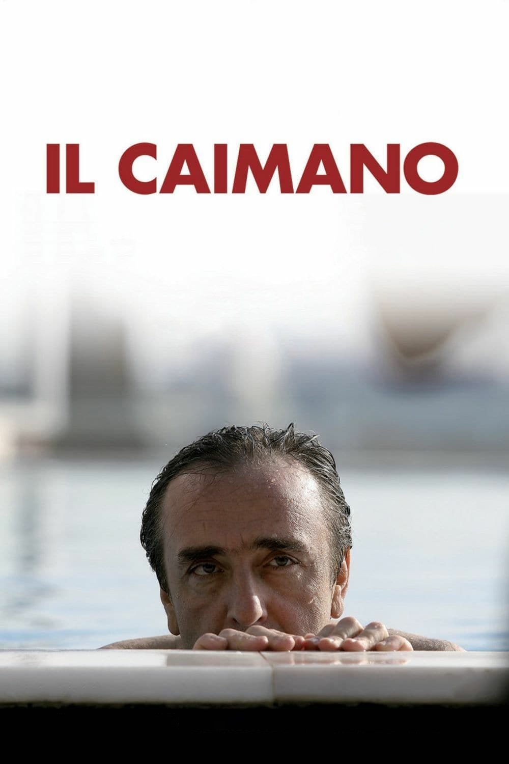 Locandina di Il caimano