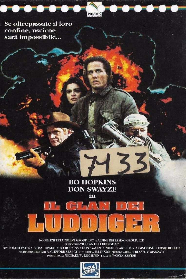 Locandina di Il clan dei Luddigger