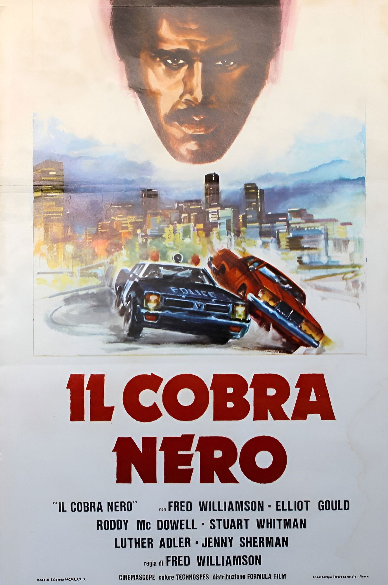 Locandina di Il cobra nero