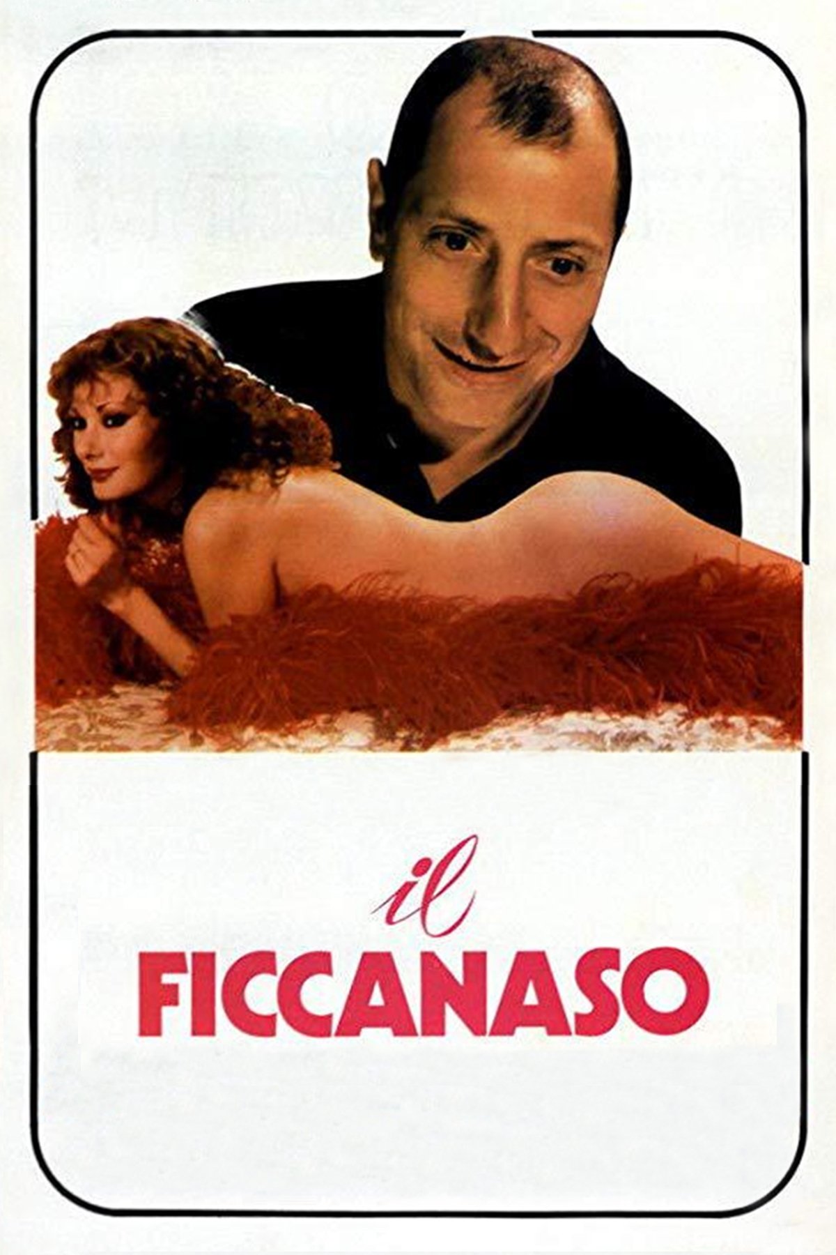 Locandina di Il ficcanaso