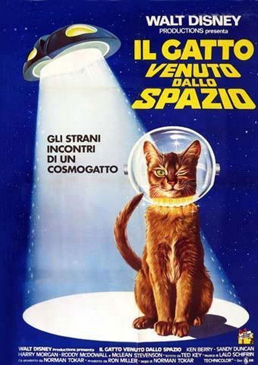 Locandina di Il gatto venuto dallo spazio