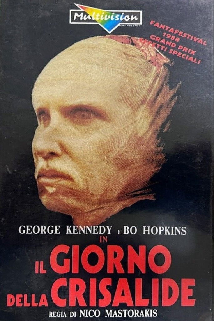 Locandina di Il giorno della Crisalide