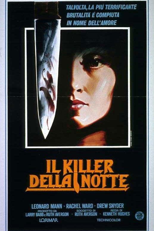 Locandina di Il killer della notte