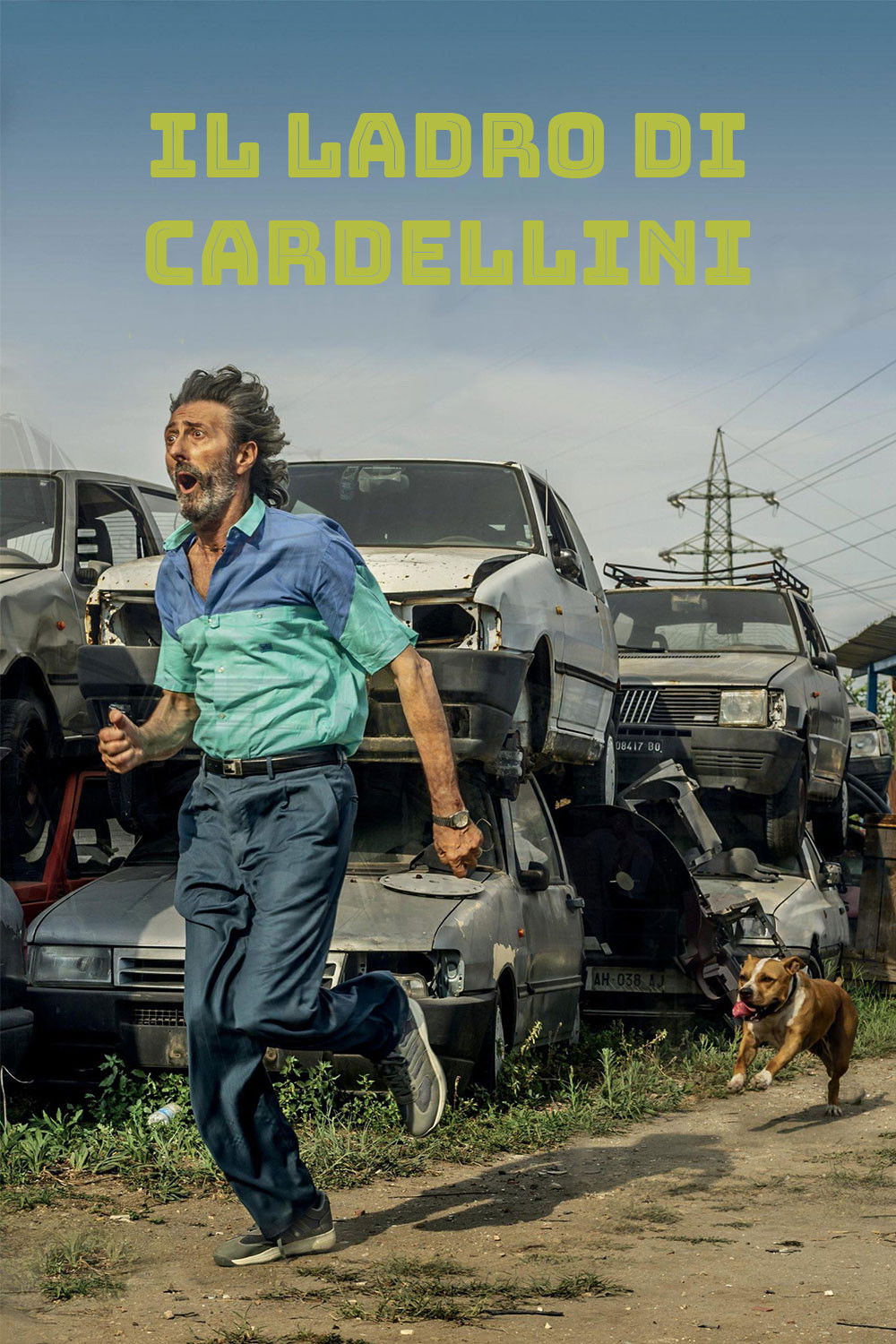 Locandina di Il ladro di cardellini