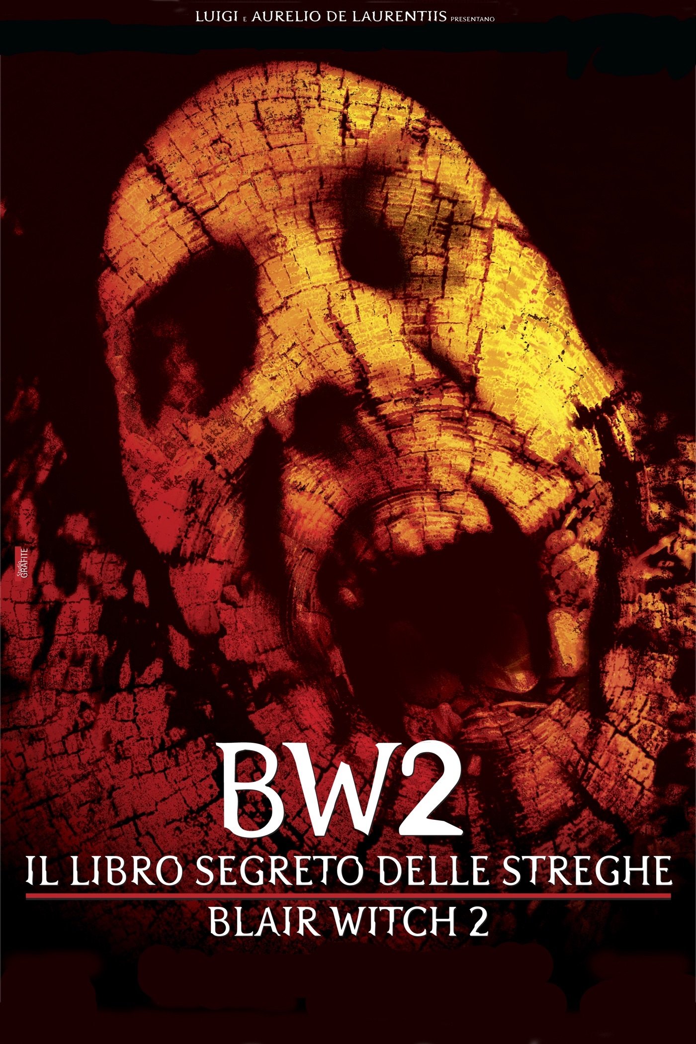 Locandina di Il libro segreto delle streghe - Blair Witch 2