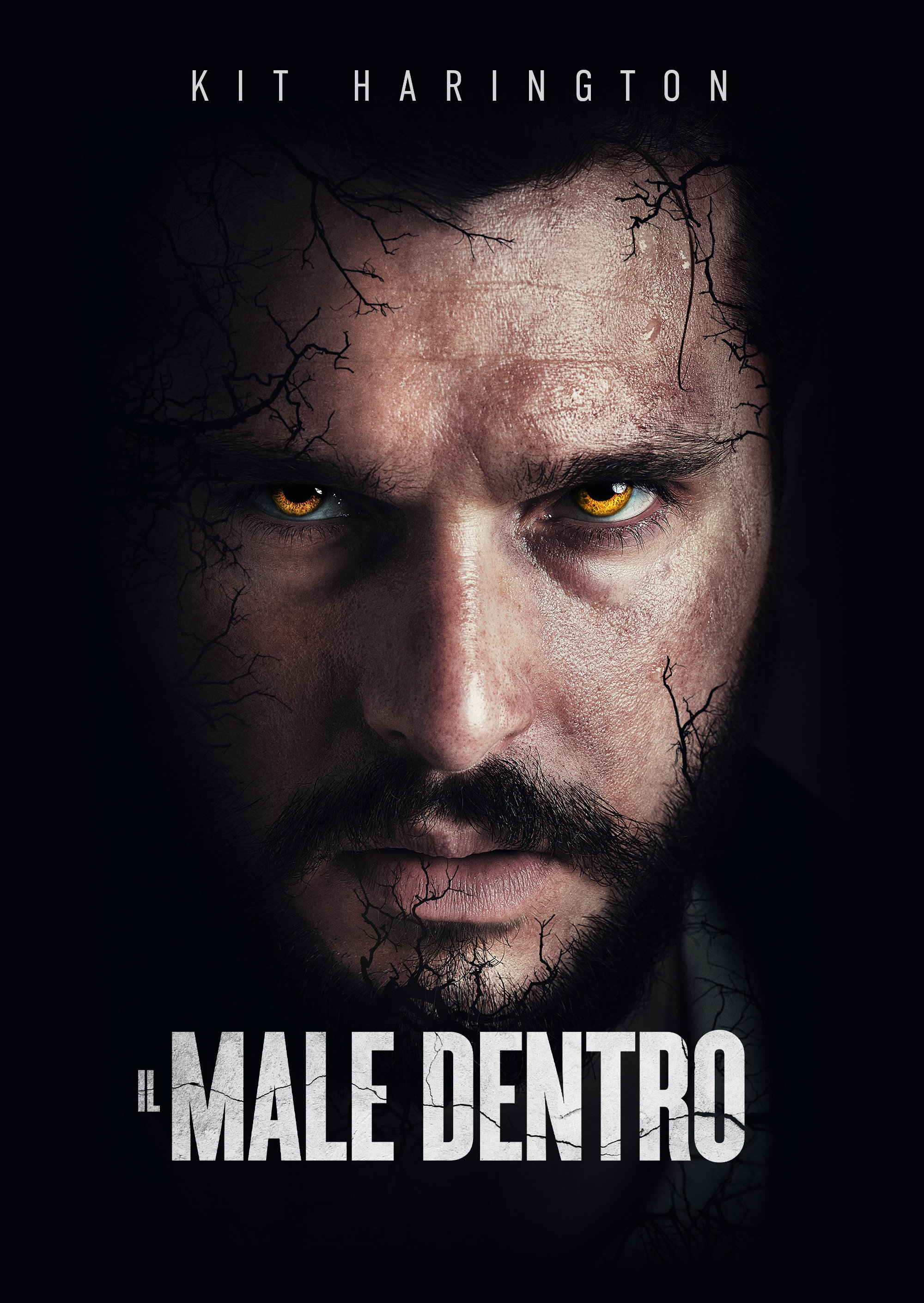Locandina di Il male dentro