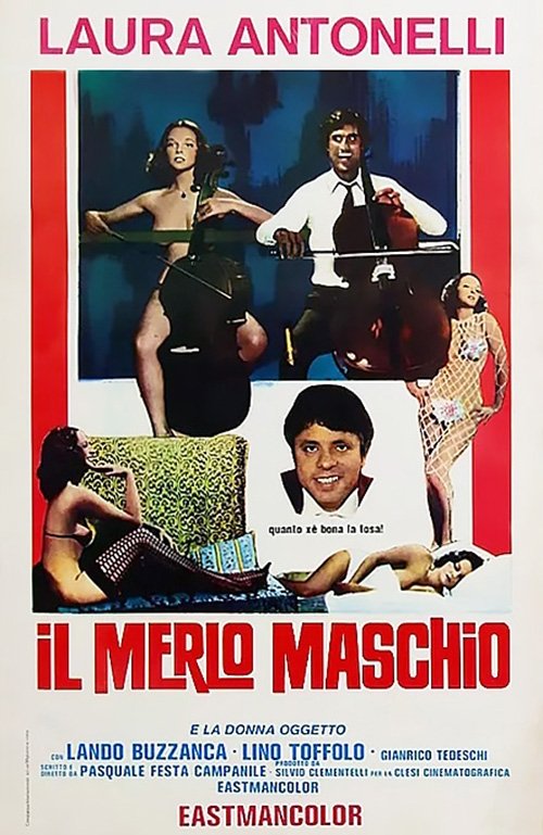 Locandina di Il merlo maschio