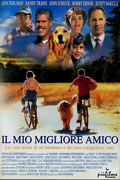Locandina di Il mio migliore amico