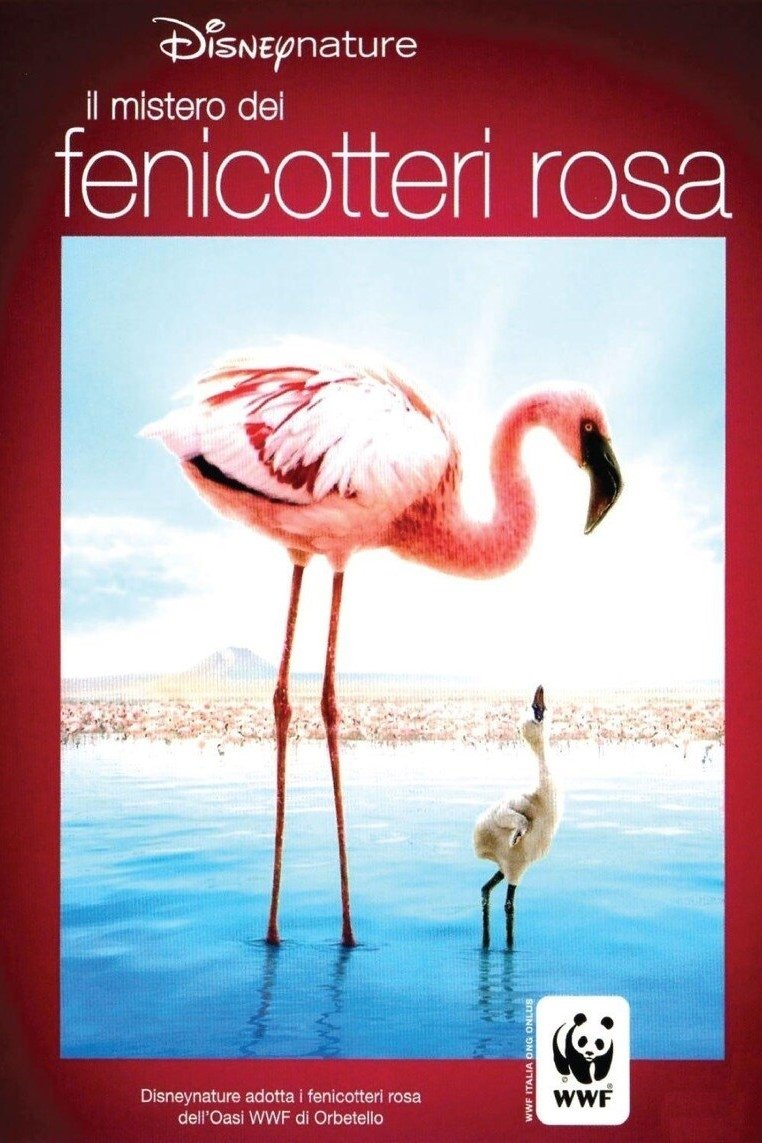 Locandina di Il mistero dei fenicotteri rosa