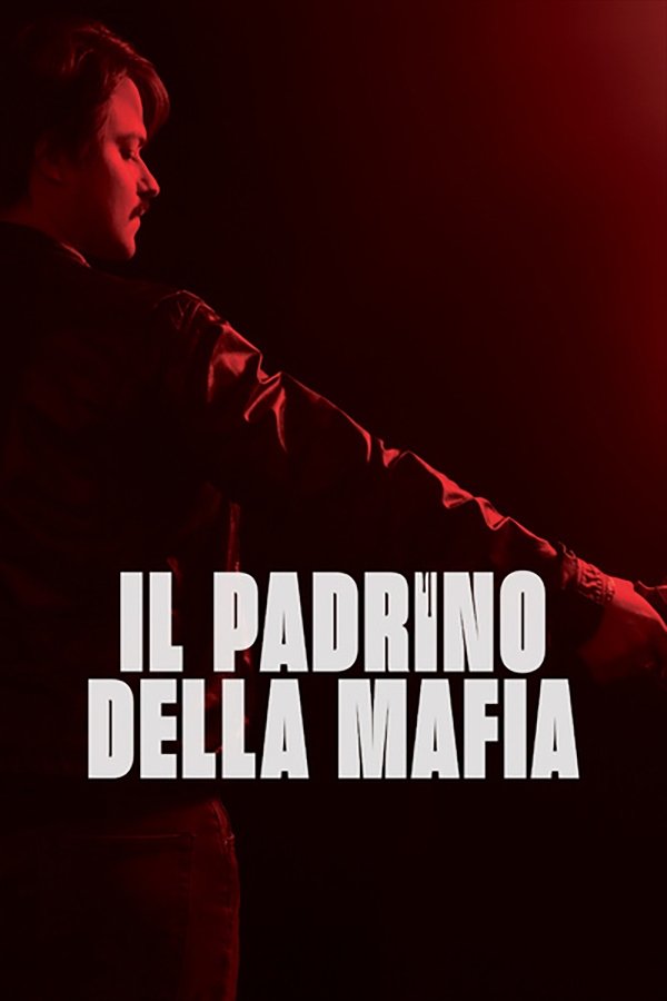 Locandina di Il padrino della mafia