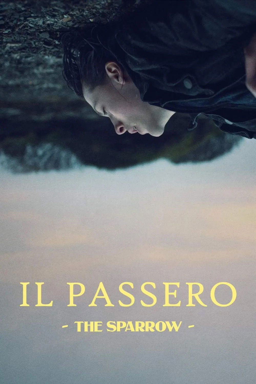Locandina di Il passero - The Sparrow