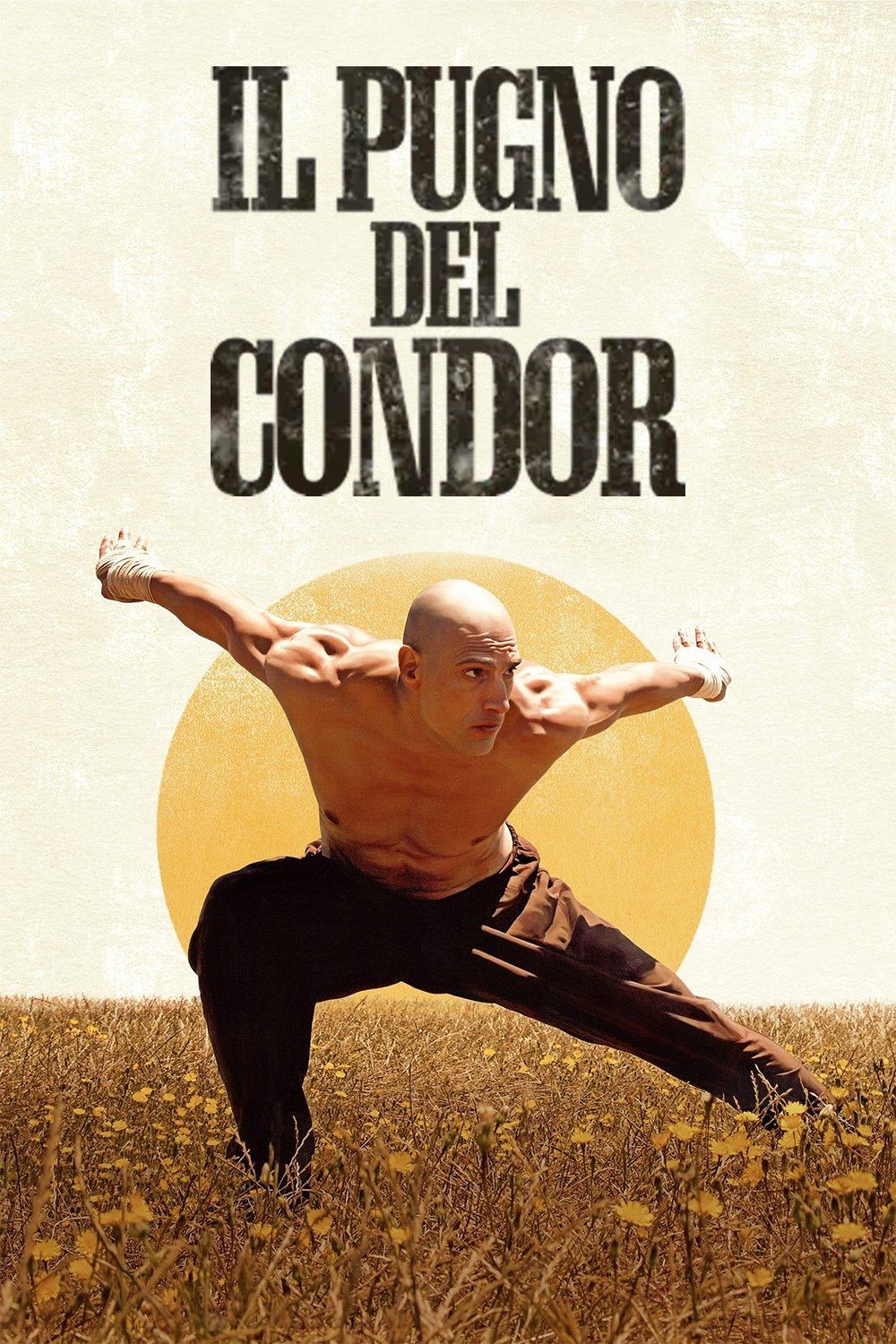 Locandina di Il pugno del condor