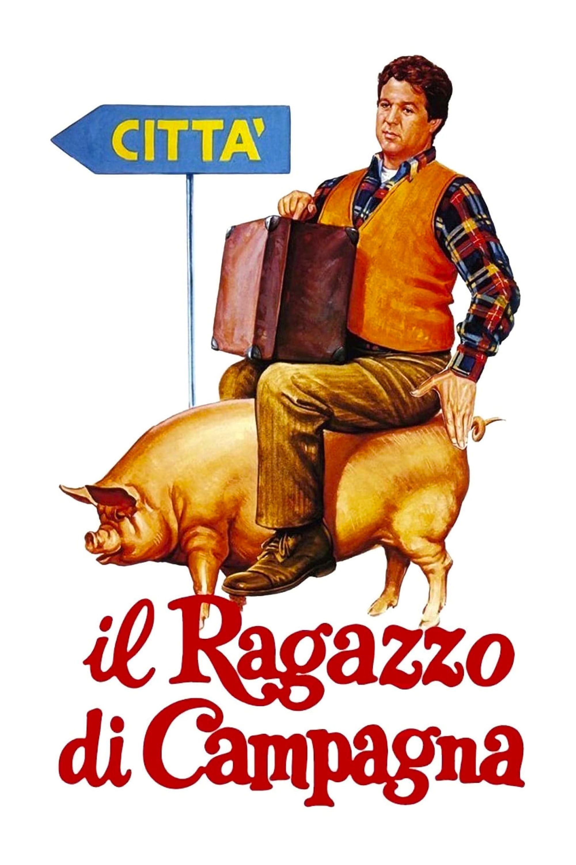 Locandina di Il ragazzo di campagna