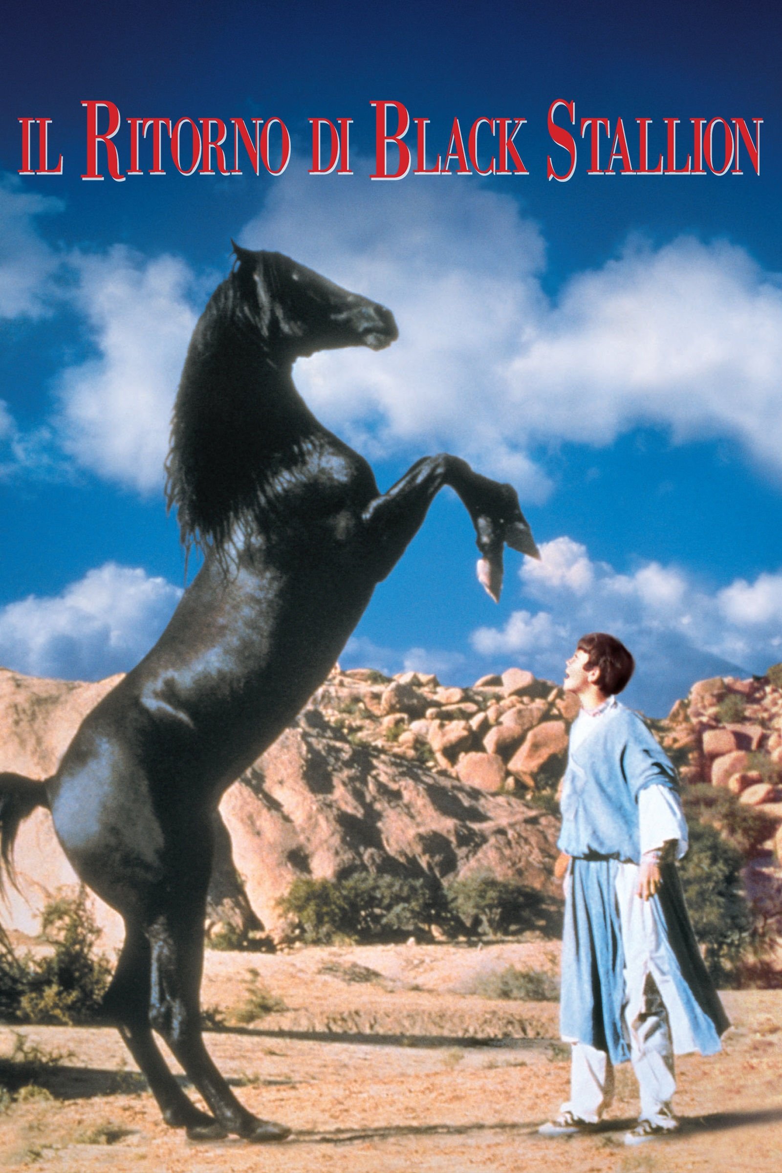 Locandina di Il ritorno di Black Stallion