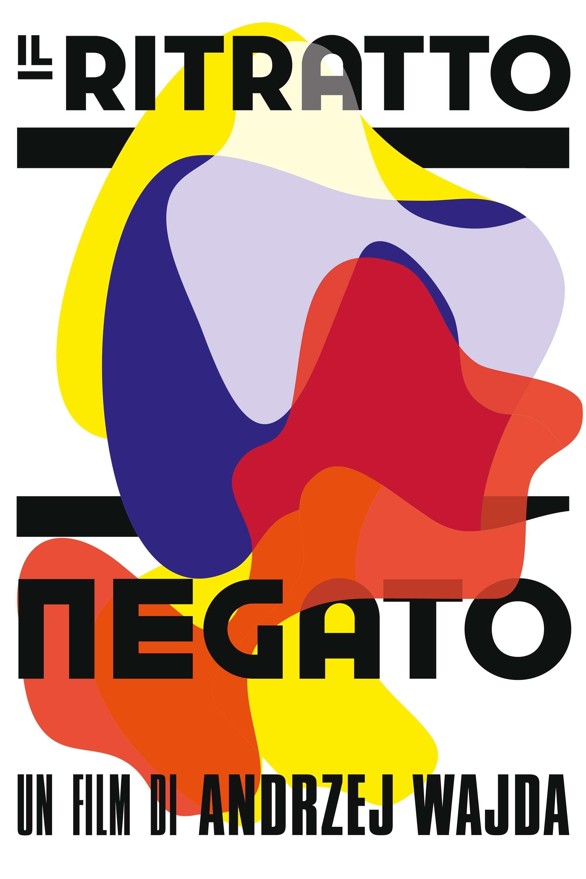 Locandina di Il ritratto negato