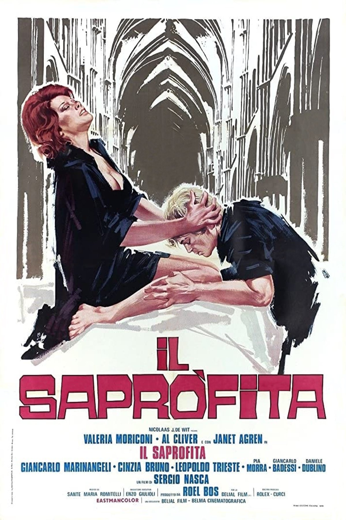 Locandina di Il saprofita