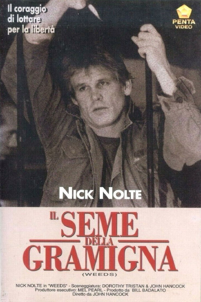 Locandina di Il seme della gramigna