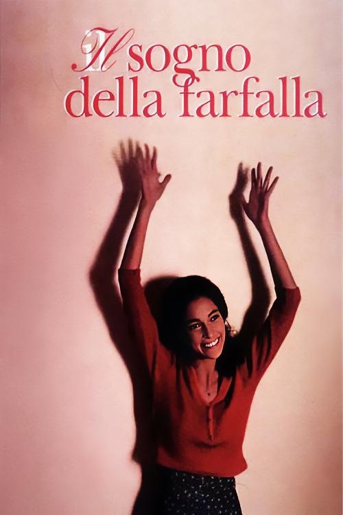 Locandina di Il sogno della farfalla