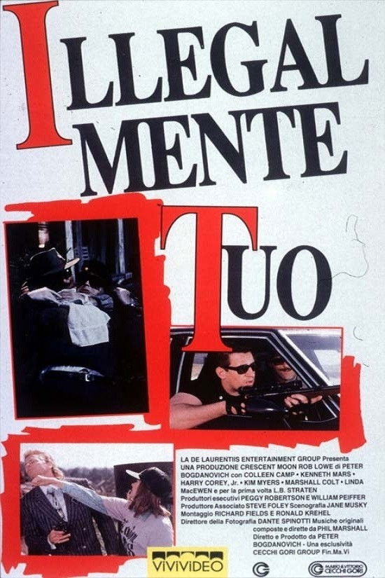 Locandina di Illegalmente tuo