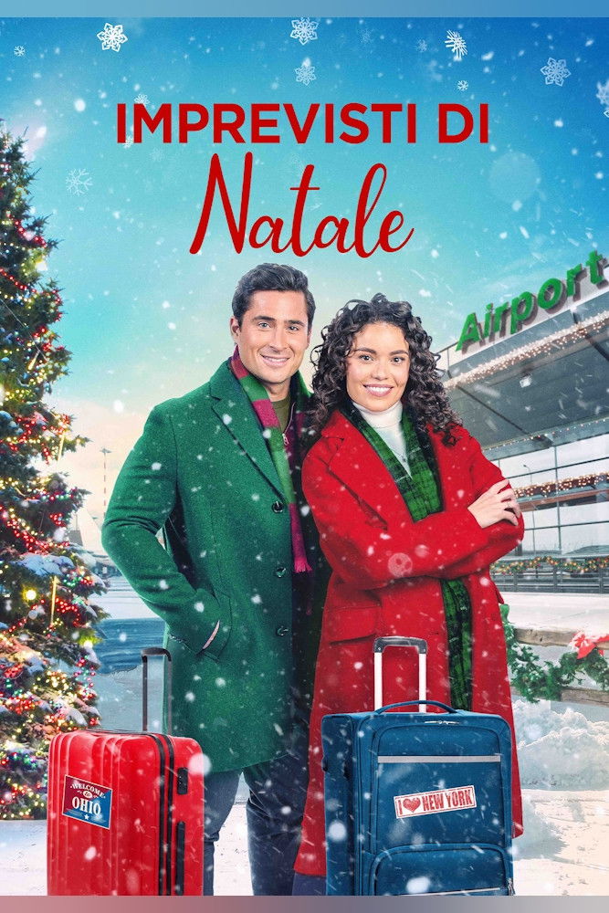 Locandina di Imprevisti di Natale