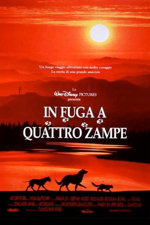Locandina di In fuga a quattro zampe