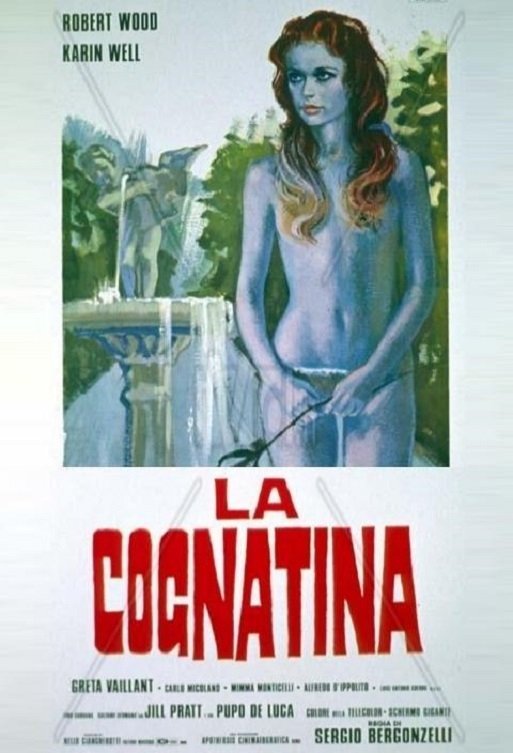 Locandina di La cognatina