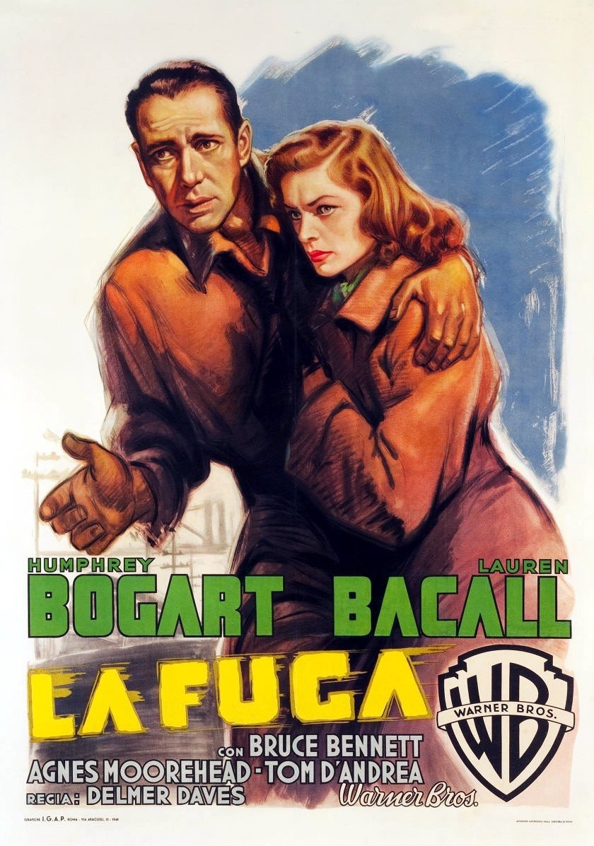 Locandina di La fuga