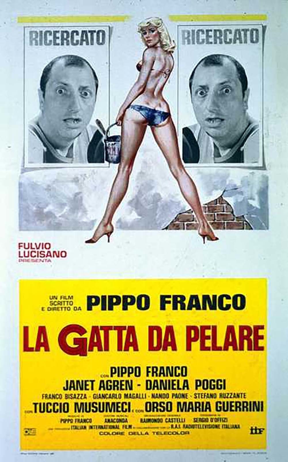Locandina di La gatta da pelare