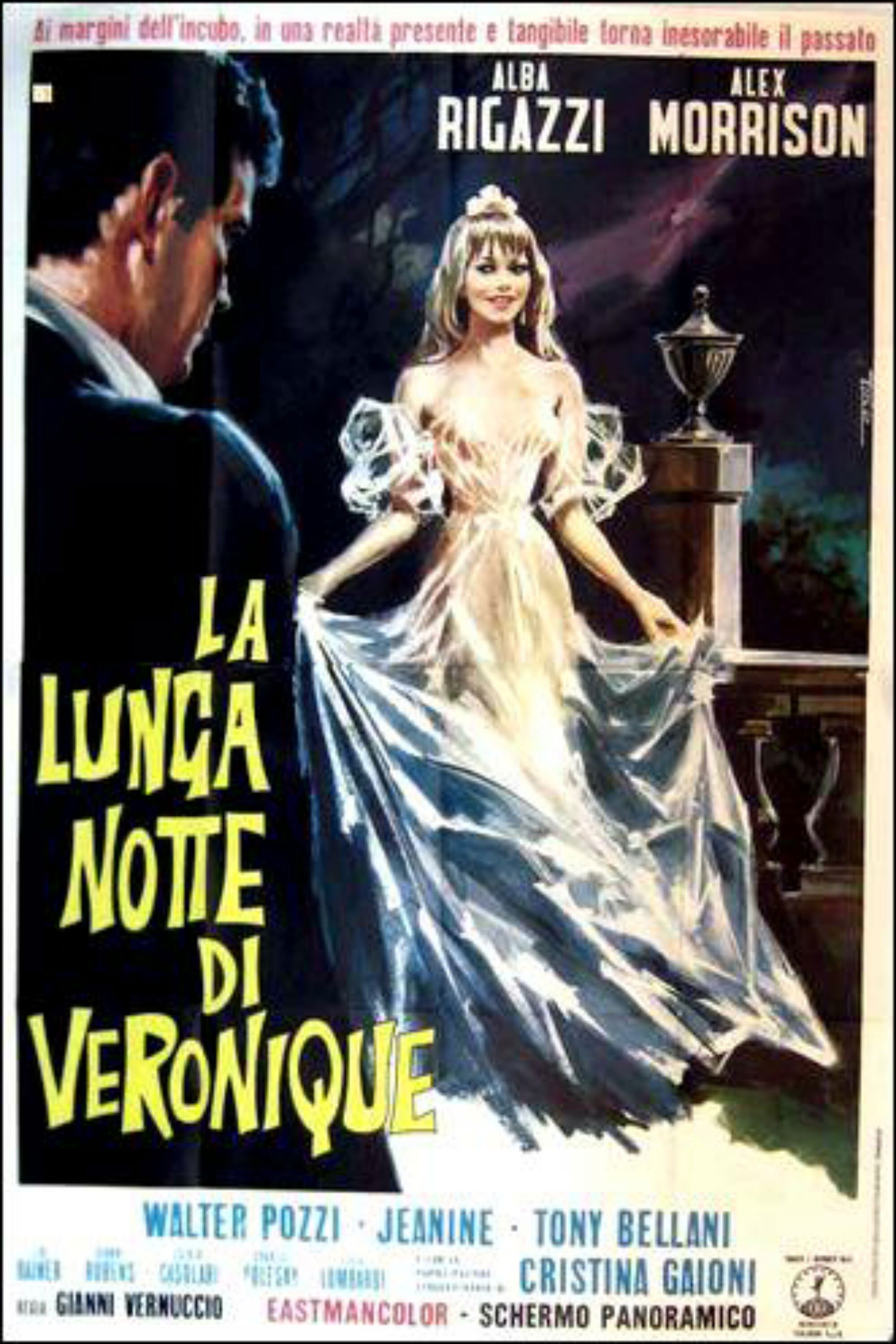 Locandina di La lunga notte di Veronique