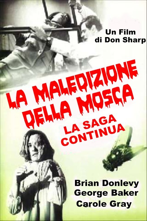 Locandina di La maledizione della mosca