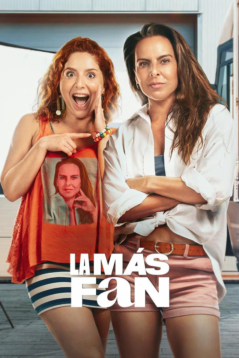 Locandina di La mia più grande fan