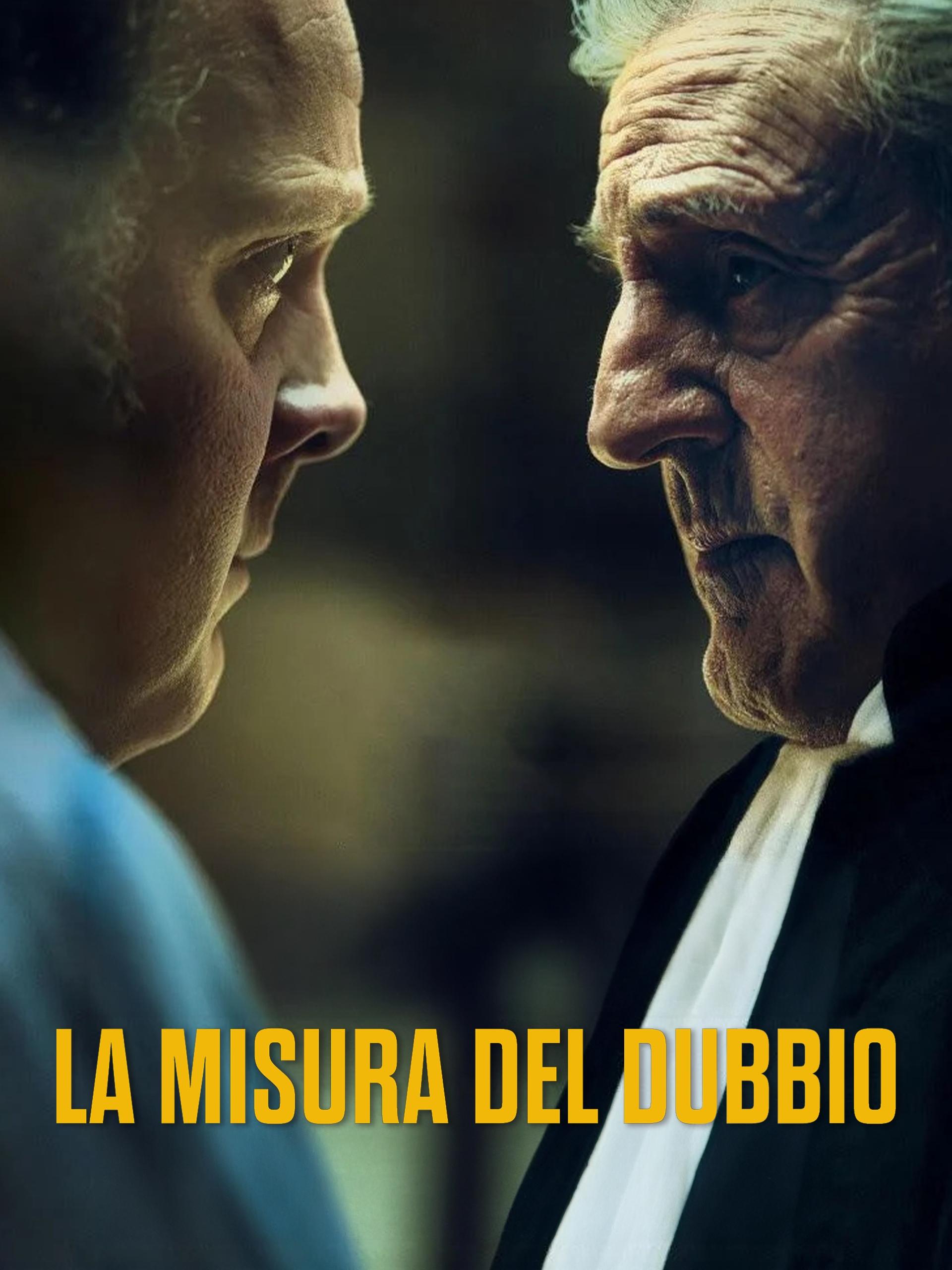 Locandina di La misura del dubbio