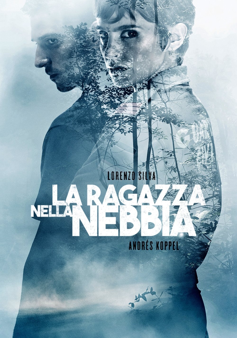 Locandina di La ragazza nella nebbia